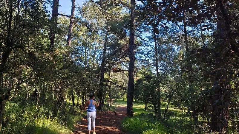 Los fines de semana suelen recorrer lugares naturales de las inmediaciones de Xalapa y la región